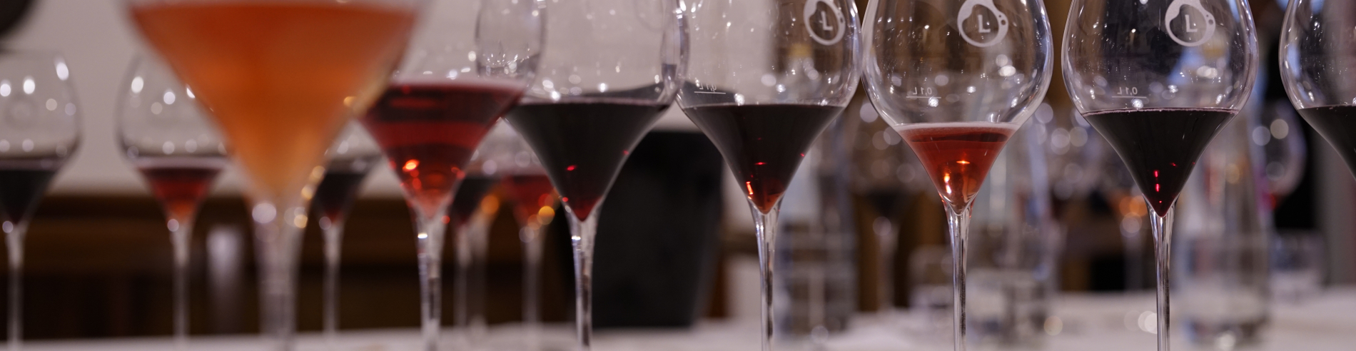 IL LAMBRUSCO CELEBRA I 50 ANNI DI 4 DENOMINAZIONI STORICHE DOC